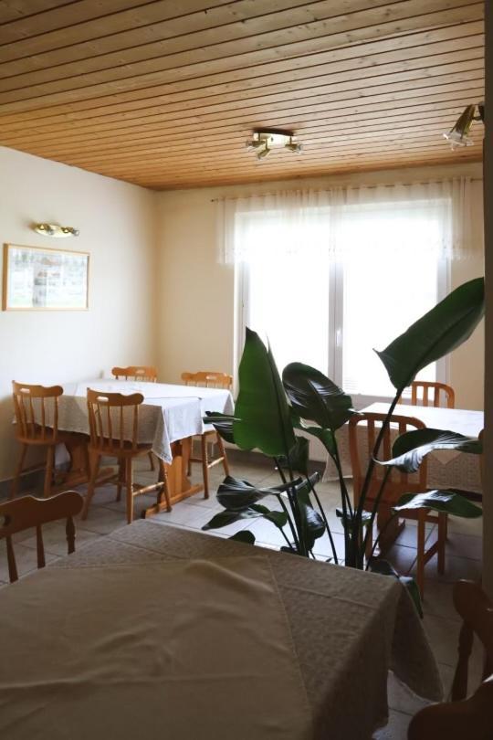 Apartments-Rooms Kocijancic ブレッド エクステリア 写真