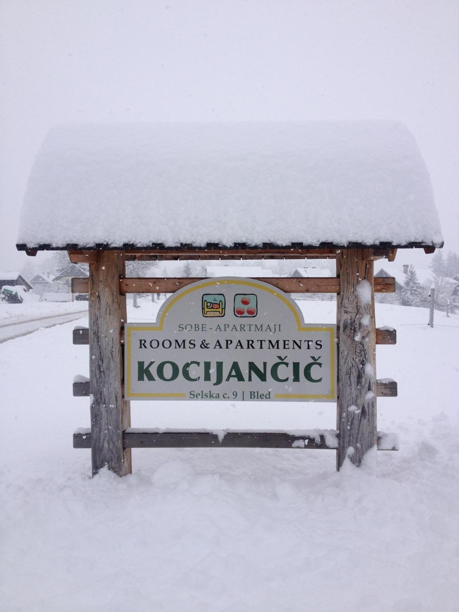 Apartments-Rooms Kocijancic ブレッド エクステリア 写真