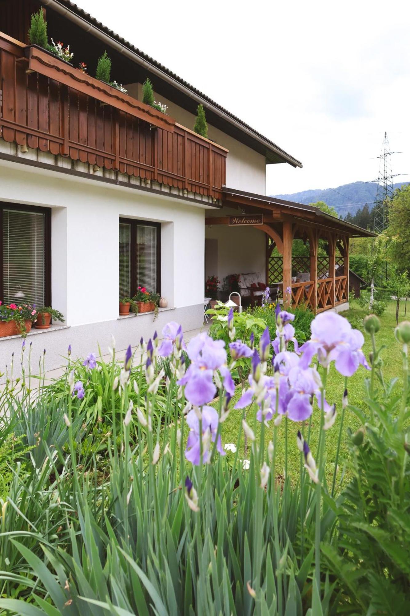 Apartments-Rooms Kocijancic ブレッド エクステリア 写真